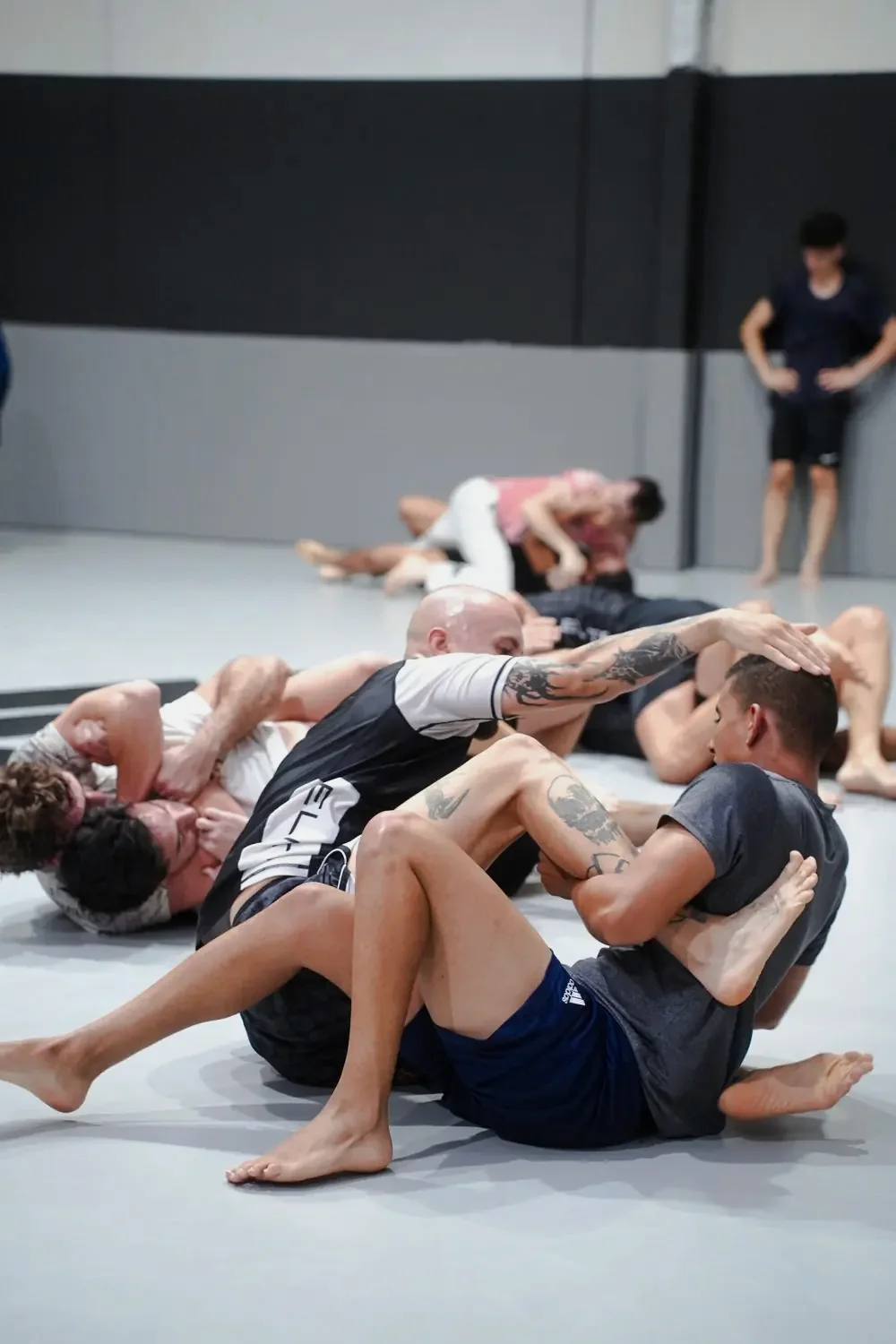 Clase de No-Gi, Jiu-Jitsu sin kimono, en Elite BJJ, Torrent